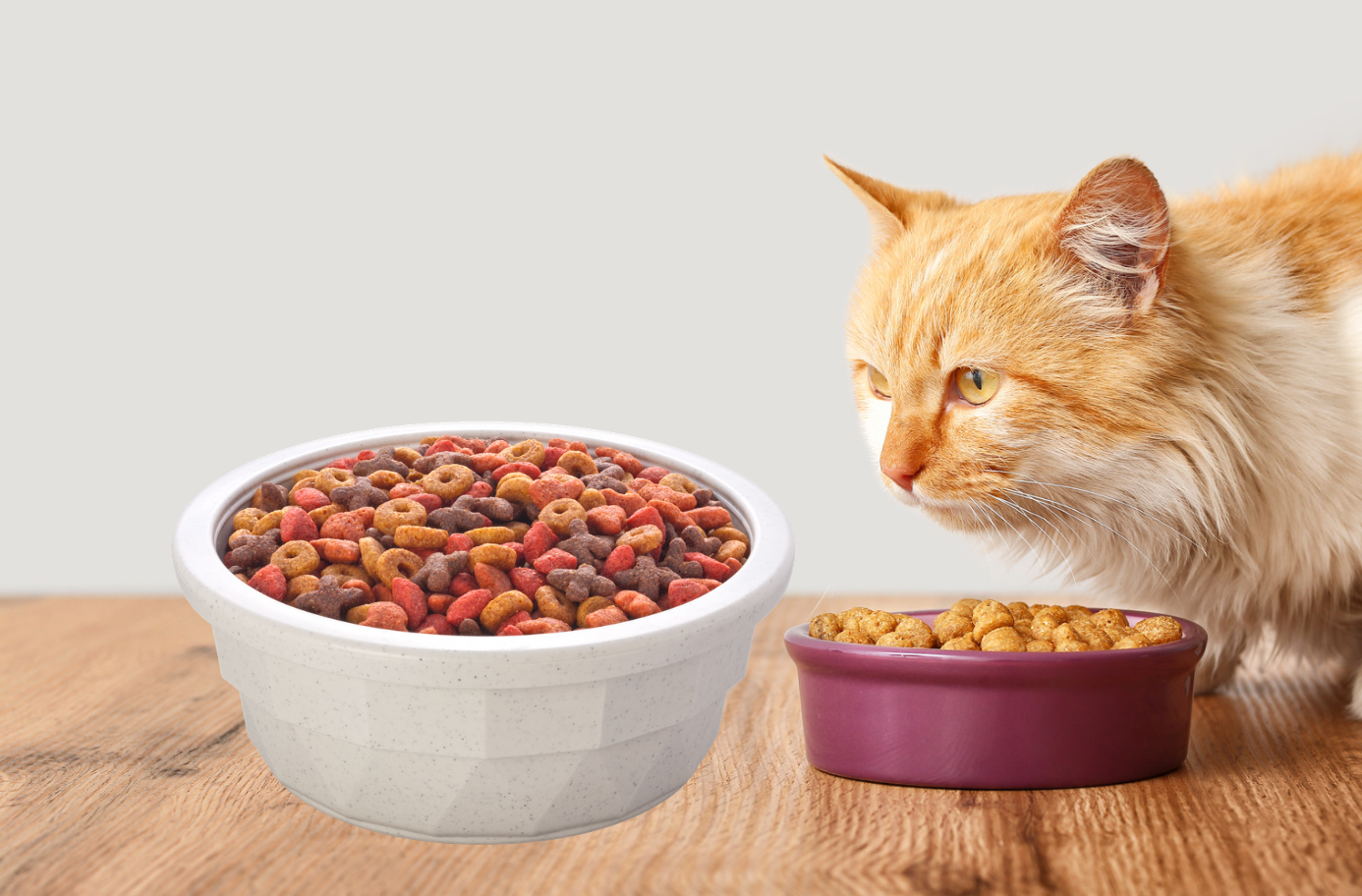 Cat Food Calculator